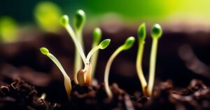 Podwyższona kreatynina: Zrozumienie, przyczyny i co dalej